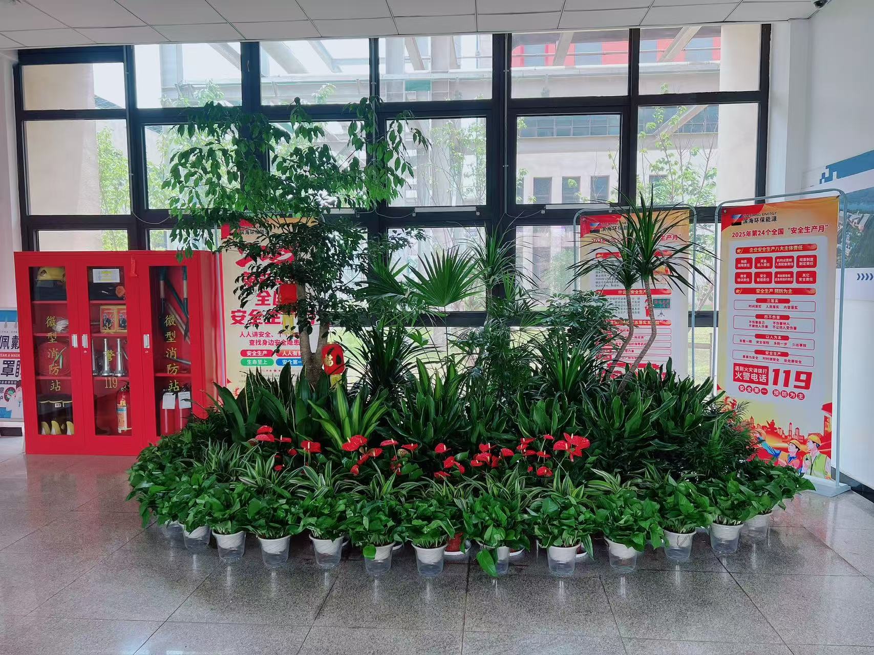 聚焦杭州湾盆景出租设计，焕新空间颜值必备！